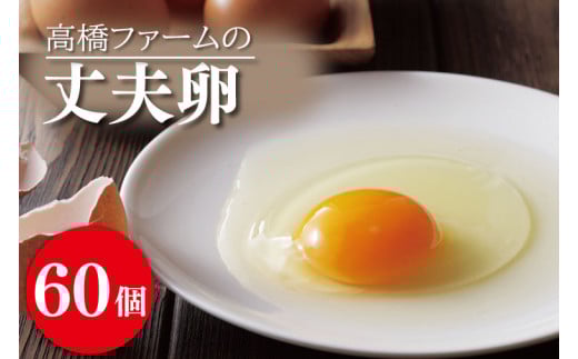 国産たまご「高橋ファームの丈夫卵」60個入り|平飼い鶏舎 卵 玉子 タマゴ 鶏卵 朝食 生卵 卵かけごはん (AQ004)栃木県益子町19000卵・乳製品卵(鶏、烏骨鶏等)