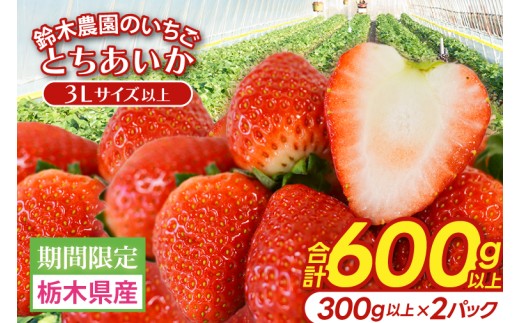 ؔ_̂@Ƃ 300gȏ×2pbNbȖ، vq ӂ邳Ɣ[ 傫  C`S  ʕ t[c Ƃ lC 600gȏ 3LTCYiDJ002jȖ،vq12000ʕEt