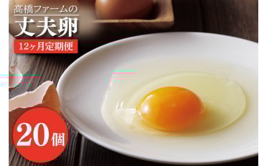 【12ヶ月定期便】国産たまご「高橋ファームの丈夫卵」20個入り|平飼い鶏舎 卵 玉子 タマゴ 鶏卵 朝食 生卵 卵かけごはん (AQ010)栃木県益子町96000卵・乳製品卵(鶏、烏骨鶏等)