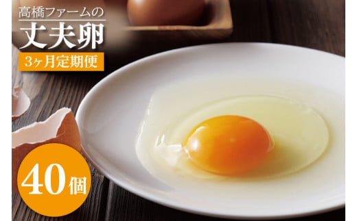 【3ヶ月定期便】国産たまご「高橋ファームの丈夫卵」40個入り|平飼い鶏舎 卵 玉子 タマゴ 鶏卵 朝食 生卵 卵かけごはん (AQ014)栃木県益子町40000卵・乳製品卵(鶏、烏骨鶏等)