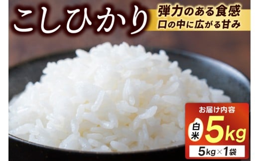 \新米 先行予約/11月発送予定 ★令和7年産★ 米 5kg 白米 精米 「コシヒカリ」山崎観光農園 栃木県 益子町 ふるさと納税 お米 こしひかり 白米 精米 5キロ 高評価 令和7年 先行予約 (AU014-11)