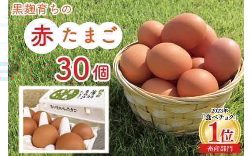 炿̐Ԃ܂30 |Ȗ، vq ӂ邳Ɣ[ ܂  ^}S Ԃ܂ lC Z H׃`N (BC007)Ȗ،vq9000Eii{AG{j