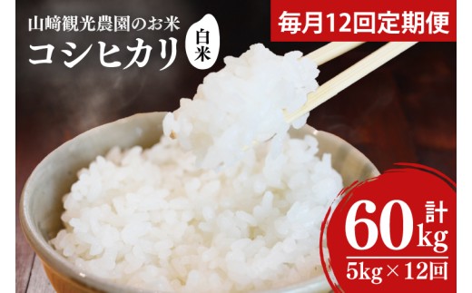 yS12ցz s\ 10菇\聚 Rό_̂ RVqJ  5kgiv 60kgjbȖ، vq ӂ邳Ɣ[  RVqJ   5kg ߘa7NY