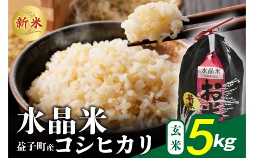 瀬尾糀店の水晶米 コシヒカリ (玄米) 5kg | 水晶米 コシヒカリ 玄米 ふっくら 益子町 (AK014)栃木県益子町17000米・パン白米