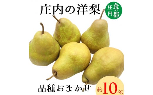 H̓s@̗mii킨܂j10kg9{`1{܂ŔzR`O쒬28500ʕEt[c񂲁E