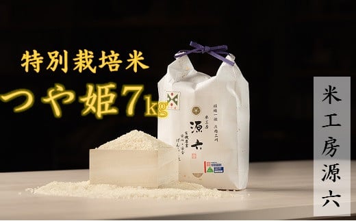 【令和7年産・精米】米工房源六が作る特別栽培米つや姫7kg山形県三川町17000米・パン白米
