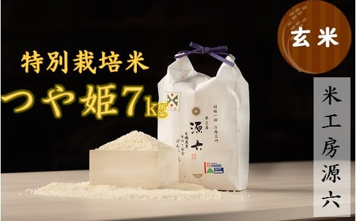 【令和7年産・玄米】米工房源六が作る特別栽培米つや姫7kg山形県三川町17000米・パン白米