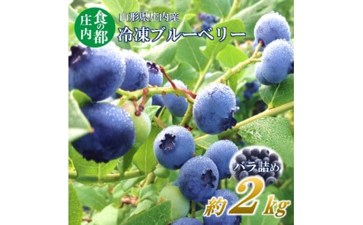 H̓syߘa7NYzYⓀu[x[iolߖ2kgjߘa7N8菇z\R`O쒬13000ʕEt[c̑ ʕEt[c