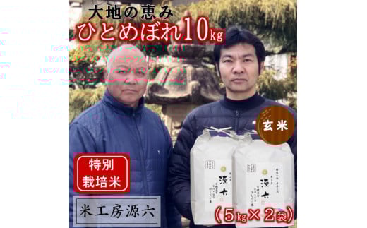 【令和7年産・玄米】米工房源六の大地の恵みひとめぼれ5kg×2袋山形県三川町19500米・パン白米
