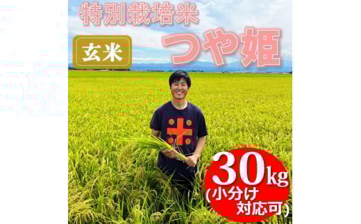 【令和7年産・玄米】ecofarmすがわらの特別栽培米つや姫30kg※10月下旬頃から順次配送山形県三川町55500米・パン玄米・雑穀米・もち米・餅
