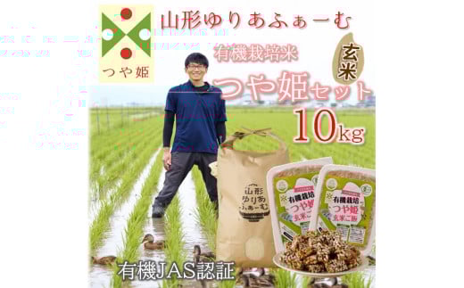 yߘa7NYEāzR`肠ӂ[ނ̗L@͔|ĂP10kgZbg11菇zR`O쒬40000āEp