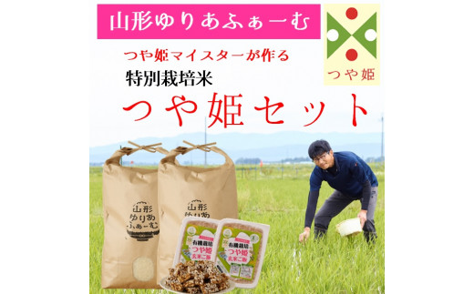 【令和7年産・精米】山形ゆりあふぁーむ「つや姫マイスター」が作る 特別栽培米つや姫10kgセット※10月中旬頃から順次配送山形県三川町27000米・パン白米