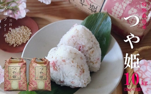 【令和7年産・精米】大沼ファームの特別栽培米つや姫10kg ※10月中旬頃から順次配送山形県三川町24500米・パン白米