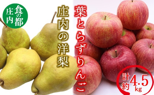 食の都庄内 庄内の葉とらずりんごと洋梨の詰め合わせ計約4.5kg※11月頃から順次発送山形県三川町18000果物・フルーツりんご・梨