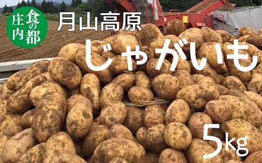 食の都庄内 月山高原のじゃがいも 約5kg※10月中下旬〜1月下旬発送山形県三川町9000野菜・きのこじゃがいも・イモ類