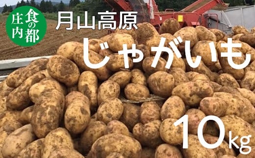 食の都庄内 月山高原のじゃがいも 約10kg※10月中下旬〜1月下旬発送山形県三川町13500野菜・きのこじゃがいも・イモ類