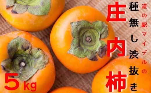 ̉w}Cf̎햳Ea`5kgR`O쒬11500ʕEt[c̑ ʕEt[c