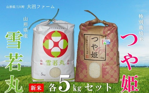 【令和7年産・精米】大沼ファームのつや姫と雪若丸のセット 各5kg※10月中旬頃から順次配送予定山形県三川町23500米・パン白米