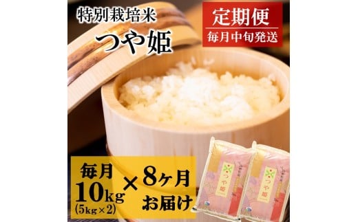令和7年産【定期便8回】竹原田ファームの特別栽培米つや姫10kg(5kg×2袋)×8回山形県三川町193500米・パン白米