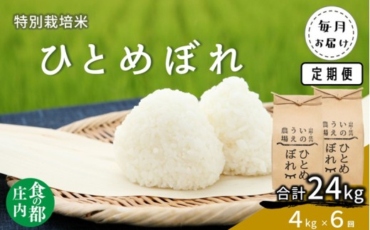 H̓s@y6z_̓ʍ͔| ЂƂ߂ڂ 4kg×6R`O쒬115000āEp