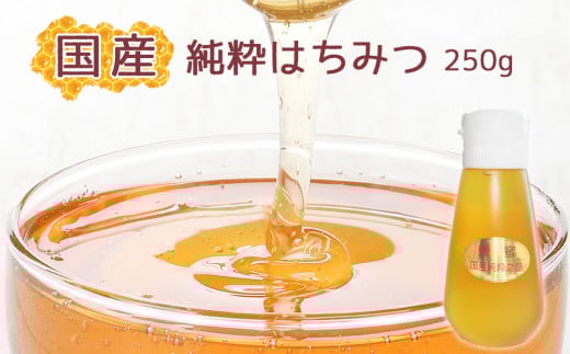 EV001 【蕃昌みつばち倶楽部】国産純粋はちみつ 250g千葉県松戸市11000鍋セット・総菜・加工食品ジャム・はちみつ