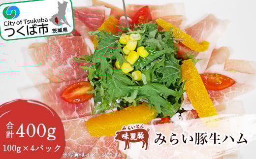݂炢 n 400g  100g × 4pbN y ؓ  Ԃ |[N Ⓚ 錧 Ύs z錧Ύs10000HinE\[Z[Wj