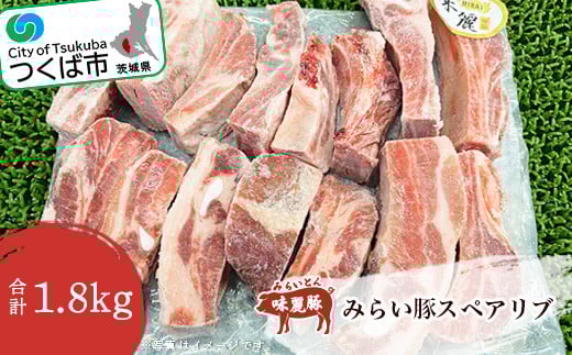 みらい豚 スペアリブ 1.8kg 村下商事【 豚肉 豚 ぶた肉 ポーク 冷凍 骨付き 銘柄豚 味麗豚 茨城県 つくば市 】茨城県つくば市10000肉豚肉