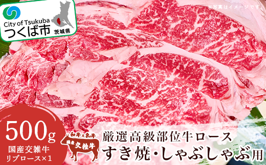 厳選高級部位牛ロース ( すき焼き ・ しゃぶしゃぶ用 ) 500g【 牛肉 牛 国産 リブロース すきやき スキヤキ 茨城県 つくば市 】茨城県つくば市10000肉牛肉