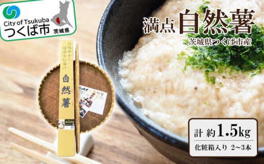 _ R 1.5kg ϔ ( 2`3{ )y Ƃ ˂񂶂 R 錧 Ύs z錧Ύs22000؁Ê卪EjWEؗ