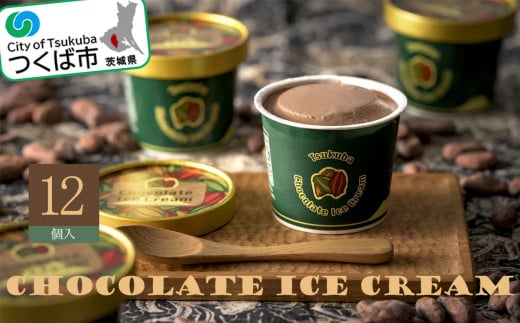 チョコレートアイスクリーム ( 122ml × 12個 )<離島・沖縄配送不可>【 アイスクリーム チョコレート アイス チョコレートアイス チョコアイス 小分け チョコ スイーツ 茨城県 つくば市 】茨