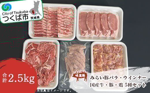 バラエティパック 2.5kg ( 牛 ・ 豚 ・ 鶏 ・ ウインナー ) 村下商事【 茨城県 つくば市 BBQ 牛肉 豚肉 鶏肉 ウインナー バラエティ 焼肉 焼き肉 バーベキュー ロース バラ 切り落とし 小分け 詰
