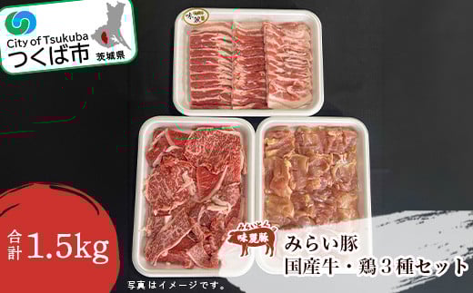 ̂ oGeBpbN 1.5kg (  E  E { )y 錧 Ύs BBQ  ؓ { oGeB ē Ă o[xL[ [X o ؂藎Ƃ  lߍ킹 z