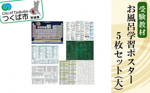 お風呂学習ポスター 受験教材 5枚セット(大)【 学習ポスター お風呂 教材 ツール 高校受験 暗記 記憶 視覚 勉強 学習 受験 テスト 試験 中学生 理科 国語 数学 歴史 英語 5教科 フライング・エ