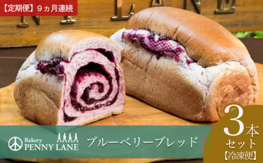 【9ヵ月定期便】ペニーレインのブルーベリーブレッド3本セット【 パン 冷凍 人気 菓子パン パン屋 茨城県 つくば市 ブルーベリー ブルーベリージャム ブルーベリーソース 冷凍パン お取り