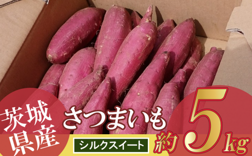 茨城県産 シルクスイート 5kg【 茨城県 つくば市 芋 さつま芋 蜜いも 焼き芋 はるか しっとり食感 高糖度 甘藷 】茨城県つくば市10000野菜・きのこじゃがいも・イモ類