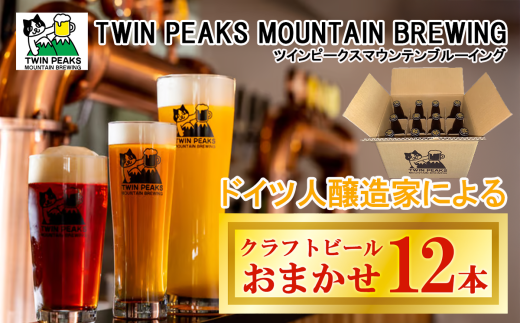 Twin Peaks Mountain Brewingのクラフトビールおまかせ 12本セット【 つくば市 ふるさと納税 クラフトビール ビール お酒 酒 麦酒 地ビール ドイツ ドイツビール 飲み比べ 】茨城県つくば市30000酒・