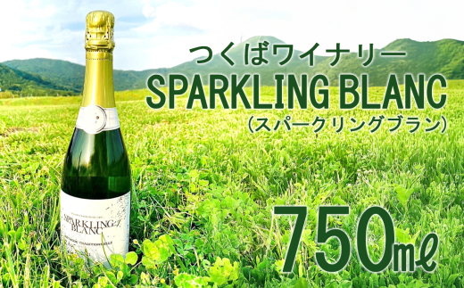 つくばワイナリー SPARKLING BLANC (スパークリングブラン) 【 お酒 葡萄 ぶどう ブドウ 茨城県産 つくば市産 ワイナリー 】茨城県つくば市19000酒・アルコールワイン