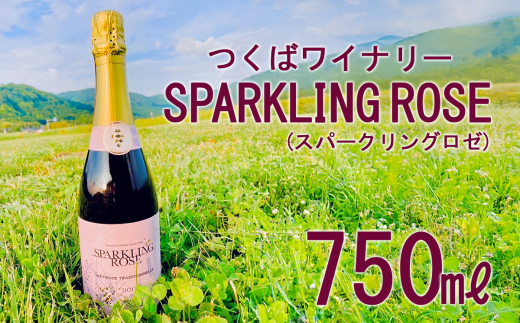 ΃Ci[ SPARKLING ROSE(Xp[NO[) y   Ԃǂ uhE 錧Y ΎsY Ci[ z錧Ύs19000EAR[C