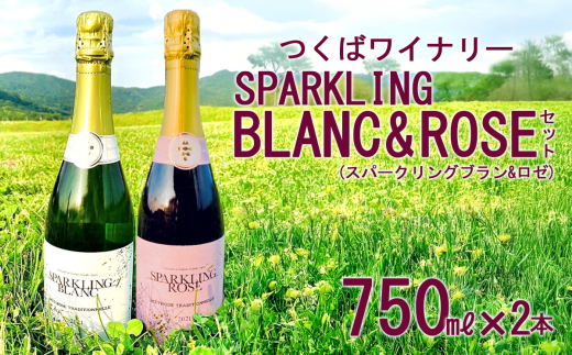 つくばワイナリー SPARKLING BLANC & ROSE セット 【 お酒 葡萄 ぶどう ブドウ 茨城県産 つくば市産 ブラン ロゼ スパークリングワイン ワイナリー 】茨城県つくば市37000酒・アルコールワイン