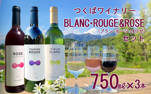 ΃Ci[ TSUKUBA BLANC E ROUGE & ROSE Zbg y   Ԃǂ uhE 錧Y ΎsY Ci[ z錧Ύs34000EAR[C