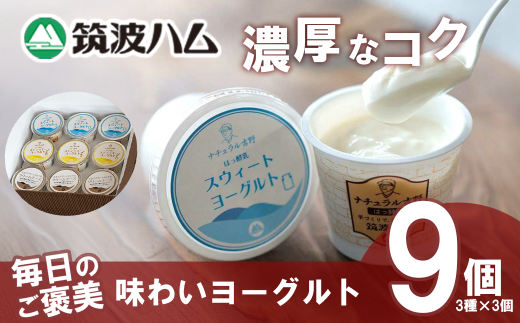 【 筑波ハム 】 毎日のご褒美 味わいヨーグルト ギフトセット【 筑波ハム ヨーグルト クリームチーズ チーズ ご褒美 乳 腸活 美容 健康 ギフト 贈答 茨城県産 国産 つくば市 】茨城県つくば