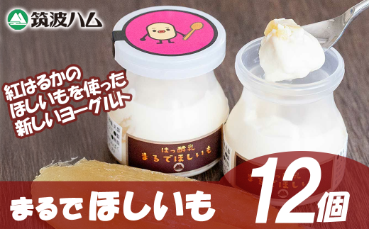 【 筑波ハム 】まるでほしいも × 3個セット4箱【 茨城県 つくば市 ヨーグルト 干し芋 ほしいも ほし芋 紅はるか さつまいも いも 健康 】茨城県つくば市22000卵・乳製品ヨーグルト