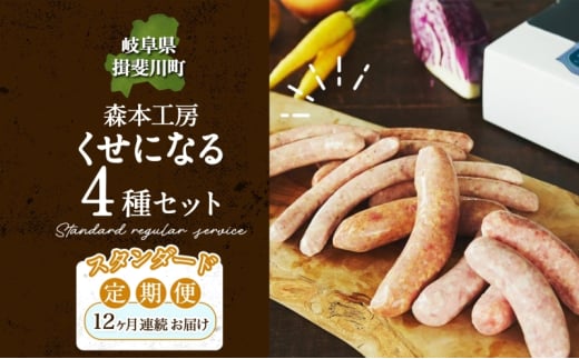 [5568-0203] 12 n \[Z[W ɂȂ  X^_[h 12 R[X ϔ  tNtg x[R BBQ ē ܂ Mtg O  p J {