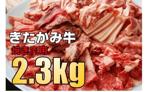 s10Zbgt݋ Ăp  2.3si750g×3j   ʌ A5 A4 lC   Ε YN p  o J^ Jr ~bNX ēa ݋ A4ȏ BBQ o[xL[