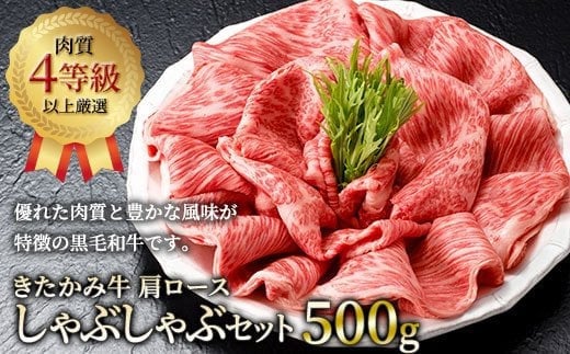 ݋ [X Ԃ Zbg  500g@јa   ؂ Ε p Mtg ̂ Ή  l  J_Y 茧ks H0153茧ks40000