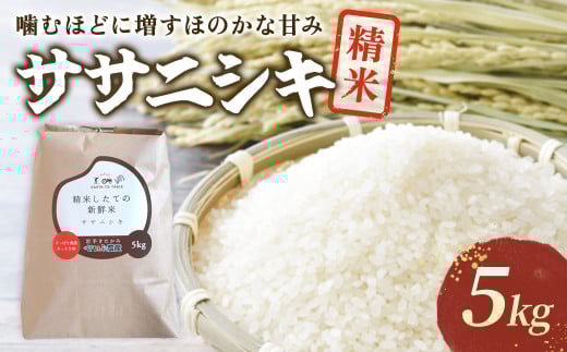 【 令和7年産 新米 】『 ササニシキ 』 5kg 【農薬節約栽培】 北上産 せいぶ農産 米 岩手県 北上市 D0552 国産 お米 こめ ご飯 ささにしき 精米 新米 西部開発農産岩手県北上市18000米・パン白米