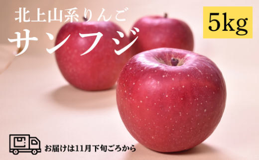 【 予約受付 /2025年 11月下旬〜発送開始 】 北上山系 りんご サンふじ 5kg (目安12〜20玉) リンゴ 林檎 サンフジ ふじ 果物 フルーツ 果実 贈答 東北 岩手 土産 展勝地 桜の名所 岩手県 北上市 E014