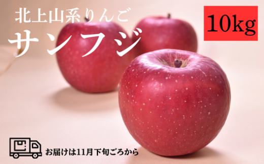 【予約受付  2025年11月下旬〜発送】北上山系 りんご サン ふじ10s(目安24〜40玉) リンゴ 林檎 サンフジ ふじ 果物 フルーツ 果実 贈答 東北 岩手 土産 展勝地 桜の名所 岩手県 北上市 H0149 展勝