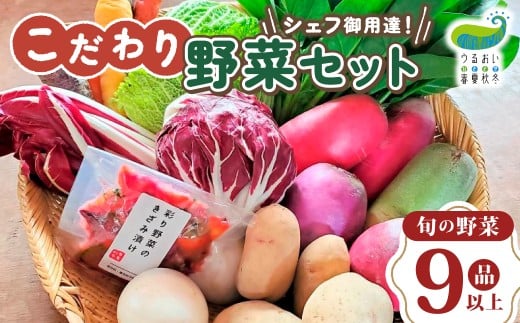 こだわり 野菜セット(9品以上) うるおい春夏秋冬 岩手県 北上市 C0493 国産 産地直送 旬野菜 なす にんじん キャベツ レタス 季節の野菜 西洋野菜  紫人参 黄色人参 丸なす 水なす 小なす 長