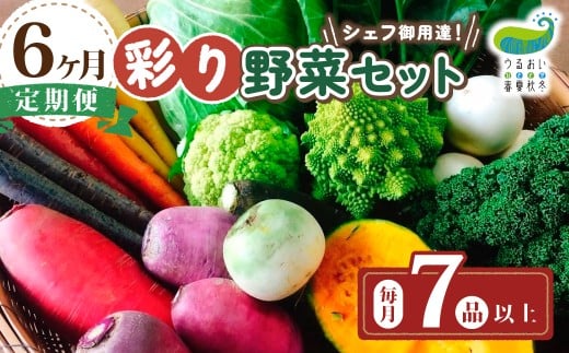 【 6ヶ月 定期便 】シェフ御用達! 農園自慢 ★ 彩り 野菜セット( 7品 目以上〜)旬 野菜 詰め合わせ 定期 シェフ御用達 国産 岩手 うるおい春夏秋冬 国産 岩手県 北上市 J0076 季節の野菜 に